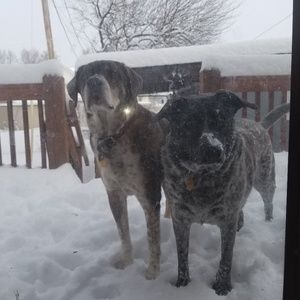 Meet your Posher, Denise